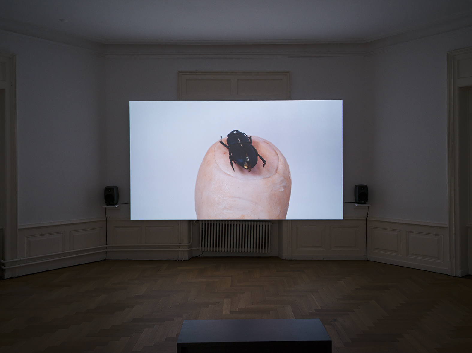 ”If You See Me Stumble“, Exhibition view